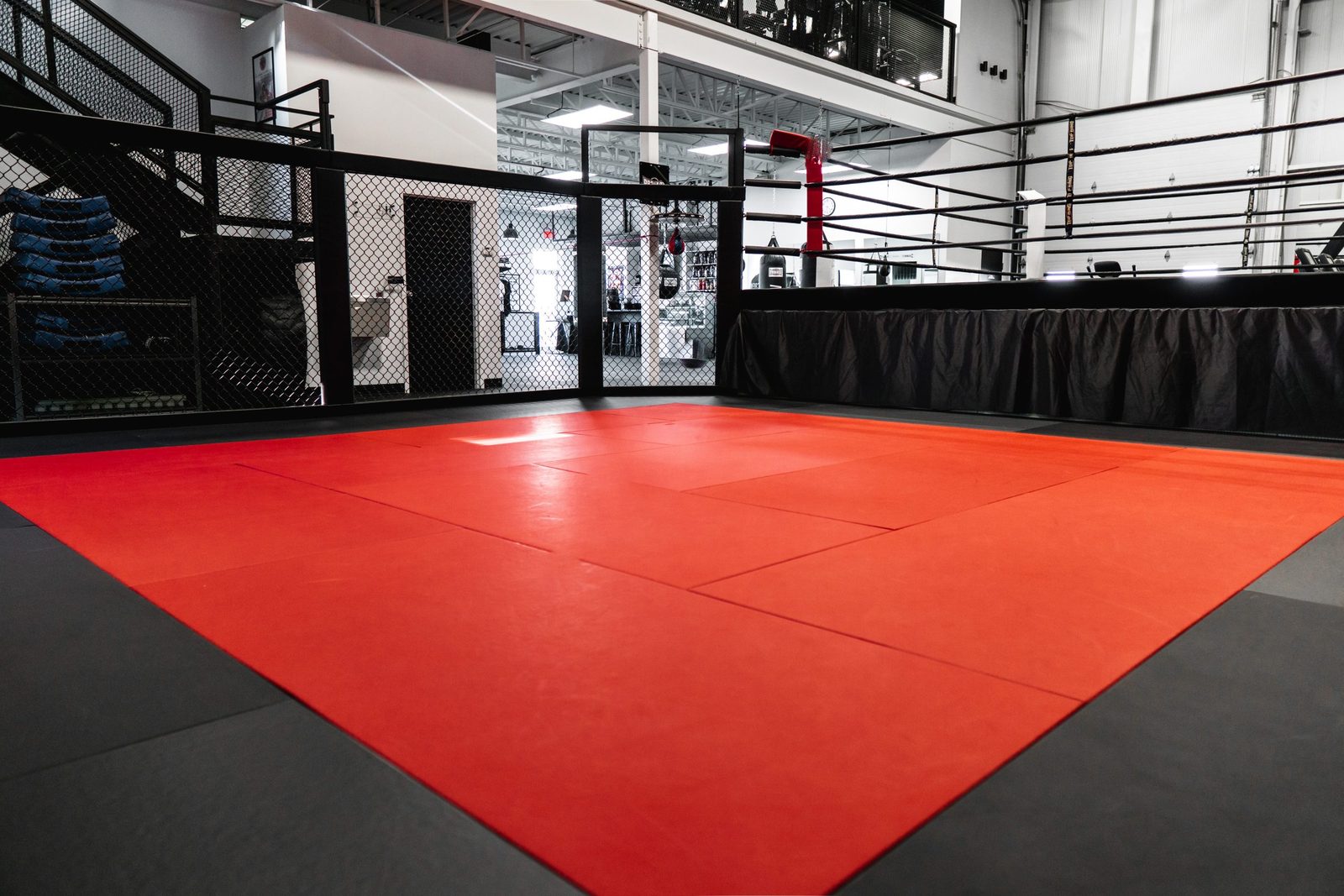 Cours de MMA au Crew Gym